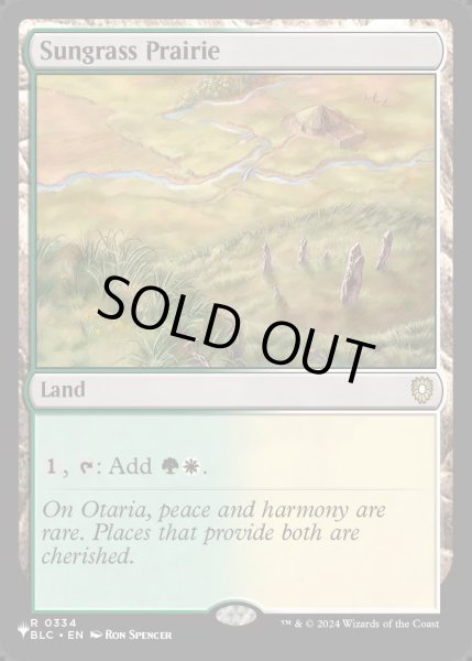 画像1: (BLC)サングラスの大草原/Sungrass Prairie《英語》【Reprint Cards(Secret Lair Commander)】 (1)