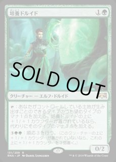 ラヴニカの献身 FOIL - カードラッシュ[MTG]