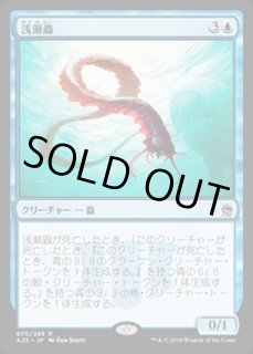 EX+]浅瀬蟲/Reef Worm《日本語》【A25】