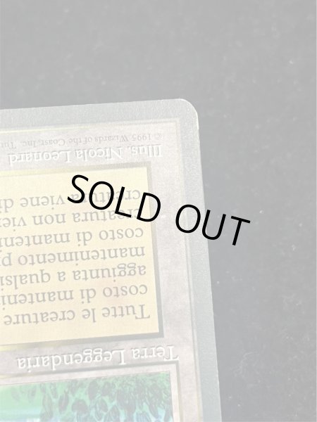 画像9: [EX]The Tabernacle at Pendrell Vale《イタリア語》【LEG】#245 (9)