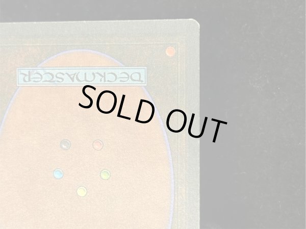 画像10: [EX]The Tabernacle at Pendrell Vale《イタリア語》【LEG】#245 (10)