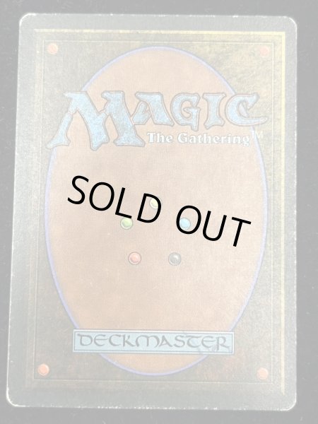 画像3: [PLD]The Tabernacle at Pendrell Vale《イタリア語》【LEG】#247 (3)