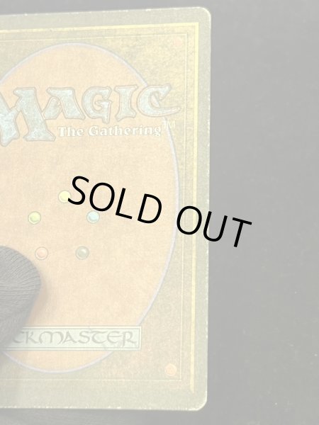 画像13: [PLD]The Tabernacle at Pendrell Vale《イタリア語》【LEG】#247 (13)