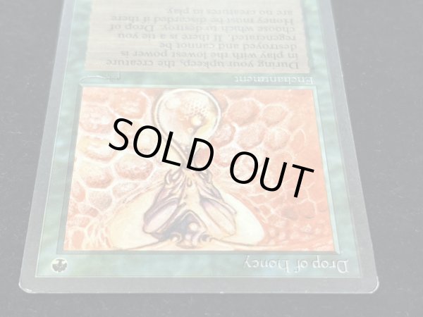 画像4: [EX]Drop of Honey《英語》【ARN】#274 (4)