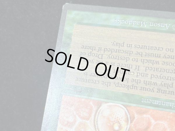 画像9: [EX]Drop of Honey《英語》【ARN】#274 (9)