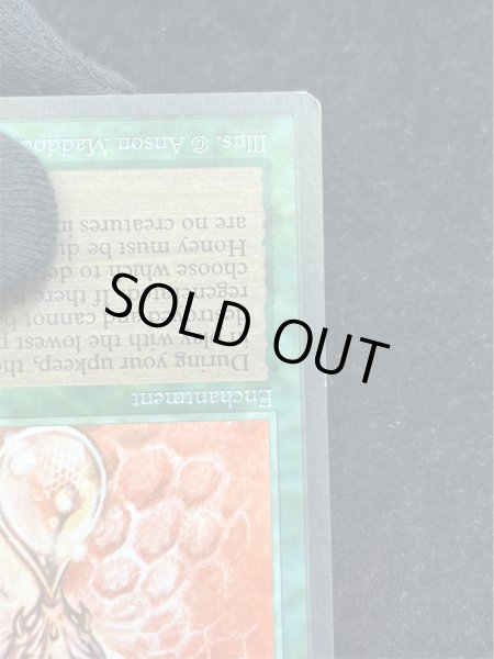 画像10: [EX]Drop of Honey《英語》【ARN】#274 (10)