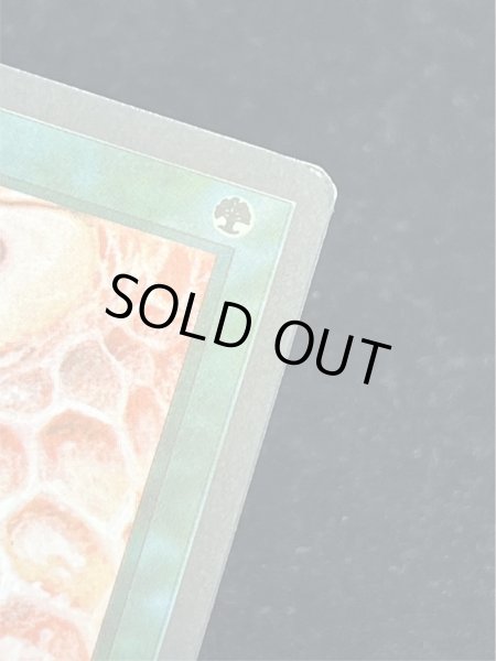 画像8: [EX]Drop of Honey《英語》【ARN】#274 (8)