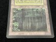 画像4: [EX+]Bayou《英語》【LEB】#275 (4)