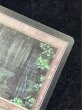 画像9: [EX+]Bayou《英語》【LEB】#275 (9)