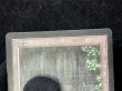 画像8: [EX+]Bayou《英語》【LEB】#275 (8)