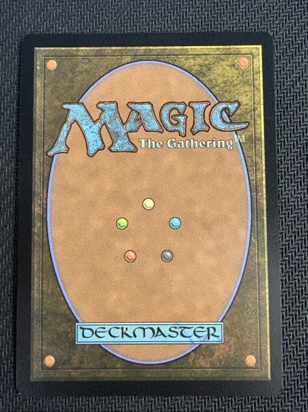 画像5: (FOIL)ジョシュア・ロズフィールド/Joshua Rosfield　//　ロフガフフの息子、ログラクフ/Rograkh, Son of Rohgahh《英語》【PRM】 (5)
