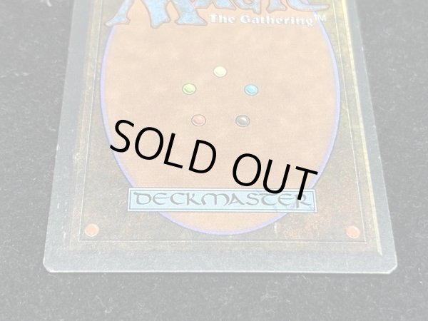 画像7: [PLD]Library of Alexandria《英語》【ARN】#41 (7)