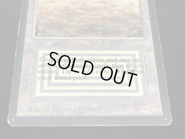 画像5: [HPLD]Scrubland《英語》【LEB】#53 (5)