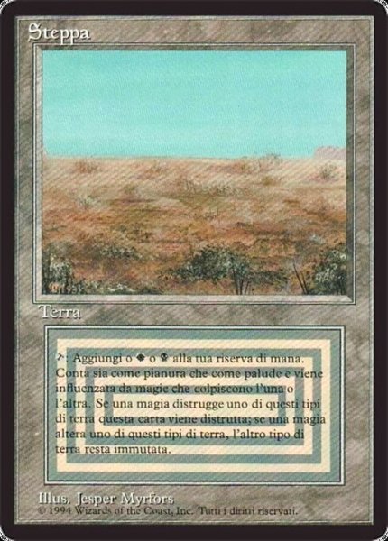 画像1: [EX]Scrubland《イタリア語》【3ED(FBB)】#310 (1)