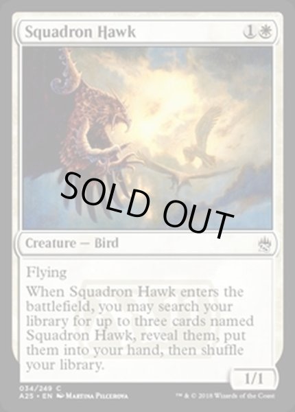 画像1: 戦隊の鷹/Squadron Hawk《英語》【A25】 (1)