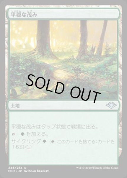 画像1: [EX+](FOIL)平穏な茂み/Tranquil Thicket《日本語》【MH1】 (1)