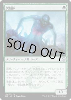 全商品 - カードラッシュ[MTG] (Page 1228)