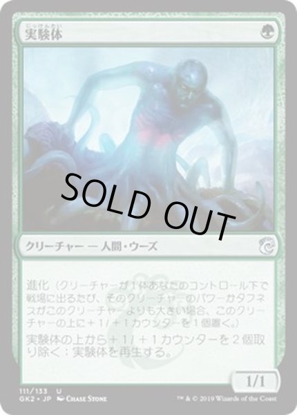 画像1: [EX+]実験体/Experiment One《日本語》【Ravnica Allegiance: Guild Kits(Simic)】 (1)