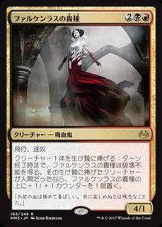 信義の神オケチラ/Oketra the True《日本語》【AKH】