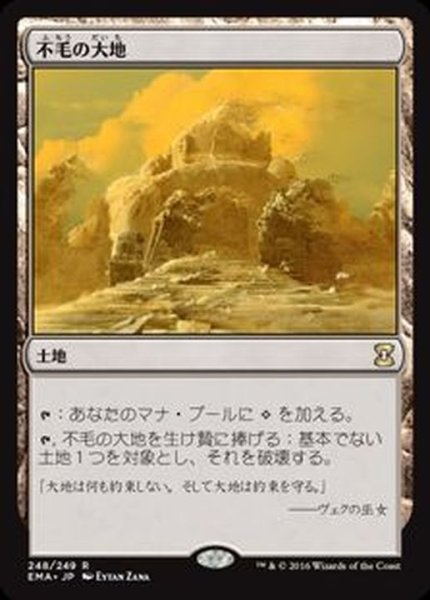 画像1: [EX+]不毛の大地/Wasteland《日本語》【EMA】 (1)