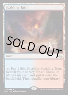mtg 沸騰する小湖 スペシャルゲスト 英語版 - メルカリ