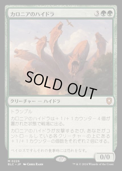 画像1: カロニアのハイドラ/Kalonian Hydra《日本語》【BLC】 (1)
