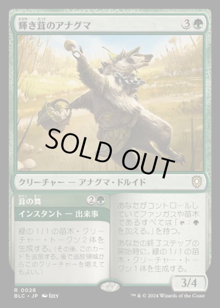 画像1: 輝き茸のアナグマ/Brightcap Badger《日本語》【BLC】 (1)
