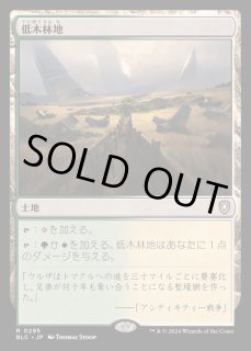 低木林地/Brushland《日本語》【BLC】