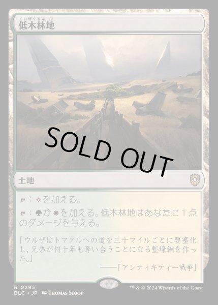 画像1: 低木林地/Brushland《日本語》【BLC】 (1)