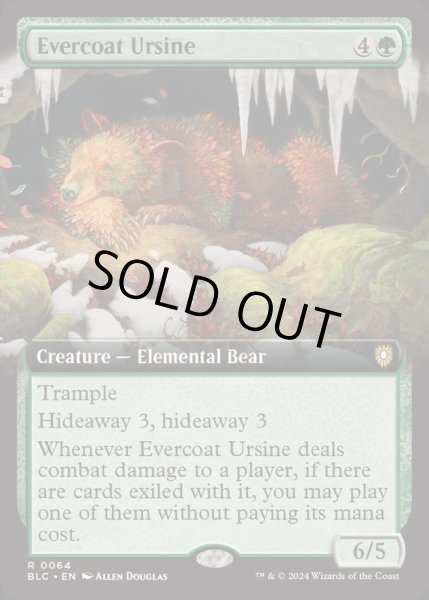 画像1: [EX+](フルアート)常緑皮の熊/Evercoat Ursine《英語》【BLC】 (1)