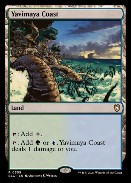 画像1: ヤヴィマヤの沿岸/Yavimaya Coast《英語》【BLC】 (1)