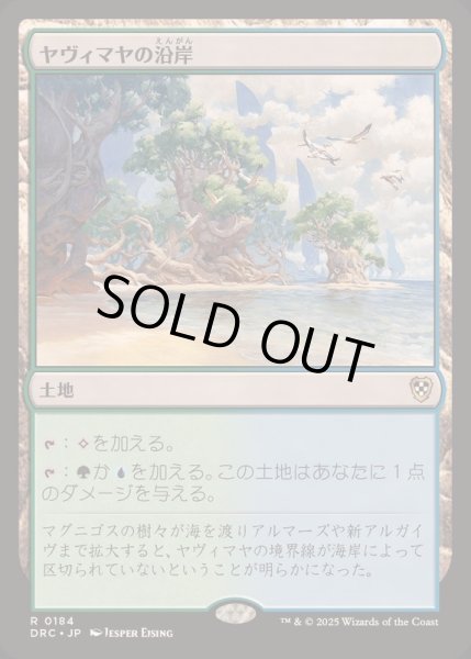 画像1: [EX+]ヤヴィマヤの沿岸/Yavimaya Coast《日本語》【DRC】 (1)