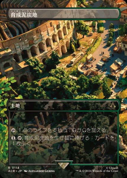 画像1: [EX+](フルアート)育成泥炭地/Nurturing Peatland《日本語》【ACR】 (1)