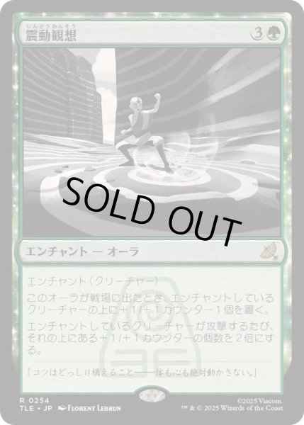 画像1: [EX+]震動観想/Seismic Tutelage《日本語》【TLE】 (1)