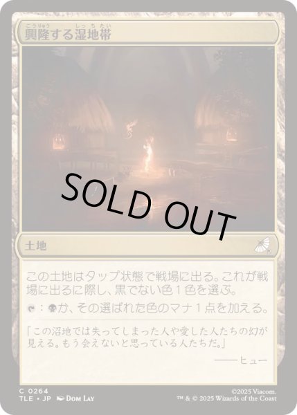 画像1: [EX+]興隆する湿地帯/Thriving Moor《日本語》【TLE】 (1)