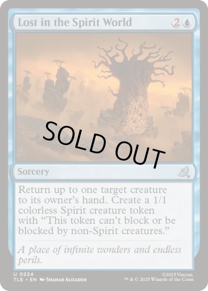 画像1: 精霊の世界での迷子/Lost in the Spirit World《英語》【TLE】 (1)