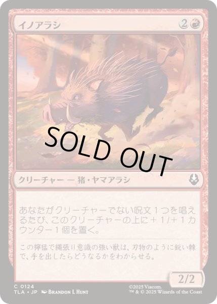 画像1: (FOIL)イノアラシ/Boar-q-pine《日本語》【TLA】 (1)