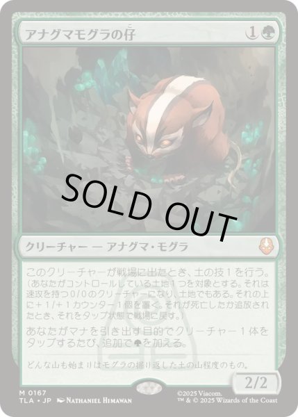 画像1: [EX+]アナグマモグラの仔/Badgermole Cub《日本語》【TLA】 (1)