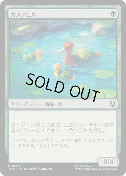 画像1: [EX+]カメアヒル/Turtle-Duck《日本語》【TLA】 (1)