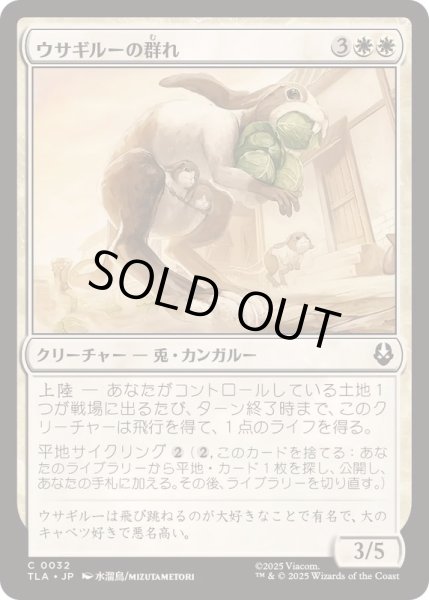 画像1: (FOIL)ウサギルーの群れ/Rabaroo Troop《日本語》【TLA】 (1)