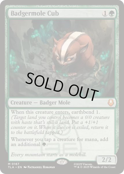 画像1: [EX+]アナグマモグラの仔/Badgermole Cub《英語》【TLA】 (1)