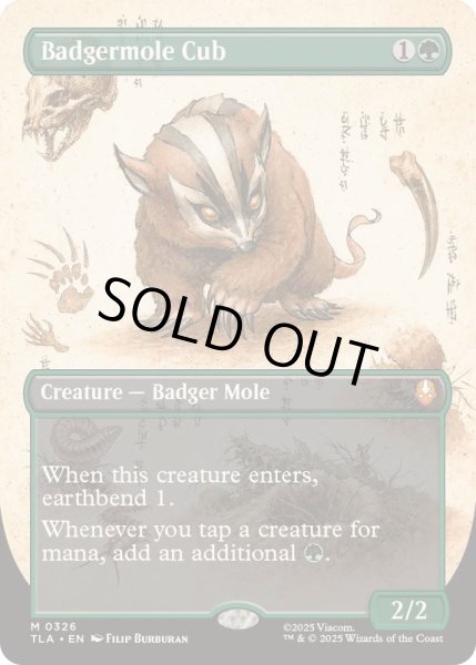 画像1: [EX+](フルアート)アナグマモグラの仔/Badgermole Cub《英語》【TLA】 (1)