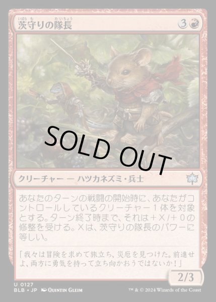 画像1: (FOIL)茨守りの隊長/Brambleguard Captain《日本語》【BLB】 (1)