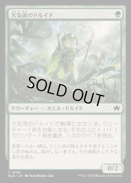 画像1: [EX+](FOIL)天気雨のドルイド/Sunshower Druid《日本語》【BLB】 (1)