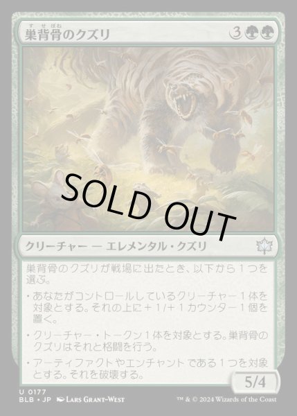画像1: [EX+](FOIL)巣背骨のクズリ/Hivespine Wolverine《日本語》【BLB】 (1)