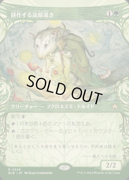 画像1: (FOIL)(ショーケース枠)耕作する高原導き/Tender Wildguide《日本語》【BLB】 (1)