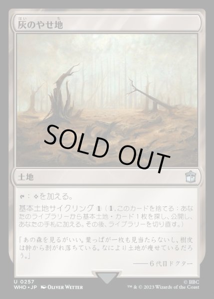 画像1: (FOIL)灰のやせ地/Ash Barrens《日本語》【WHO】 (1)