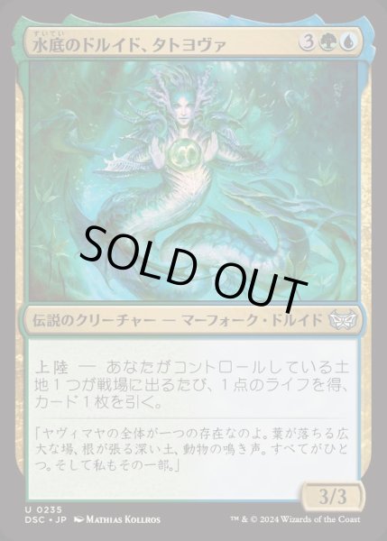 画像1: 水底のドルイド、タトヨヴァ/Tatyova, Benthic Druid《日本語》【DSC】 (1)