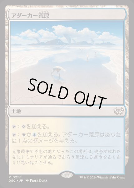 画像1: [EX]アダーカー荒原/Adarkar Wastes《日本語》【DSC】 (1)