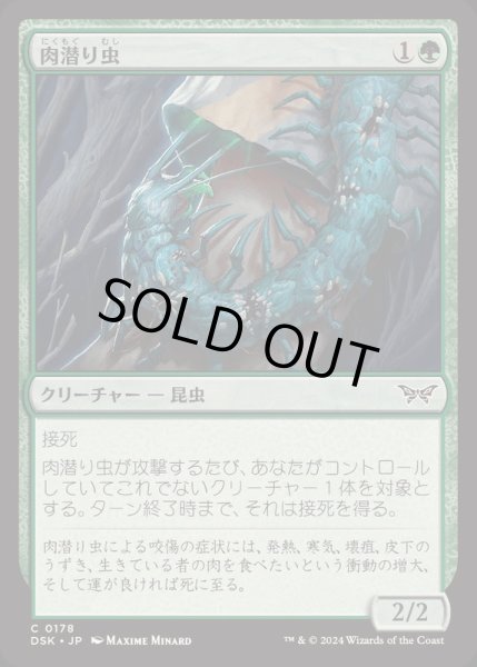 画像1: [EX+](FOIL)肉潜り虫/Flesh Burrower《日本語》【DSK】 (1)